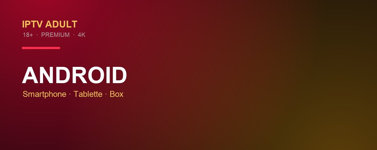 IPTV adulte Android — installation smartphone, tablette et box
